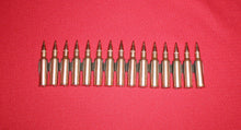 Load image into Gallery viewer, VZ-59 Section belt: Belt + 15 bullets, Copper color