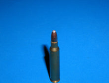 Load image into Gallery viewer, 223 REM, Brass casing with a 55gr, Soft Point bullet
