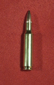 222 REM with FMJ bullet