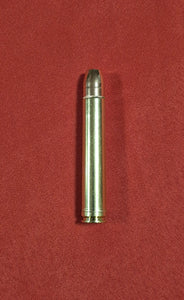 458 WIN MAG with a 400gr FMJ bullet