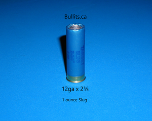 12 x 2¾ inch (12ga x 70mm) shotshell with a regular 1 ounce Slug