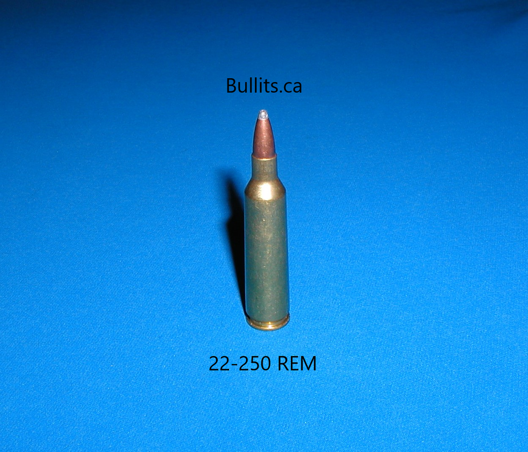 22-250 REM with a 64gr Pointed  Soft Point bullet
