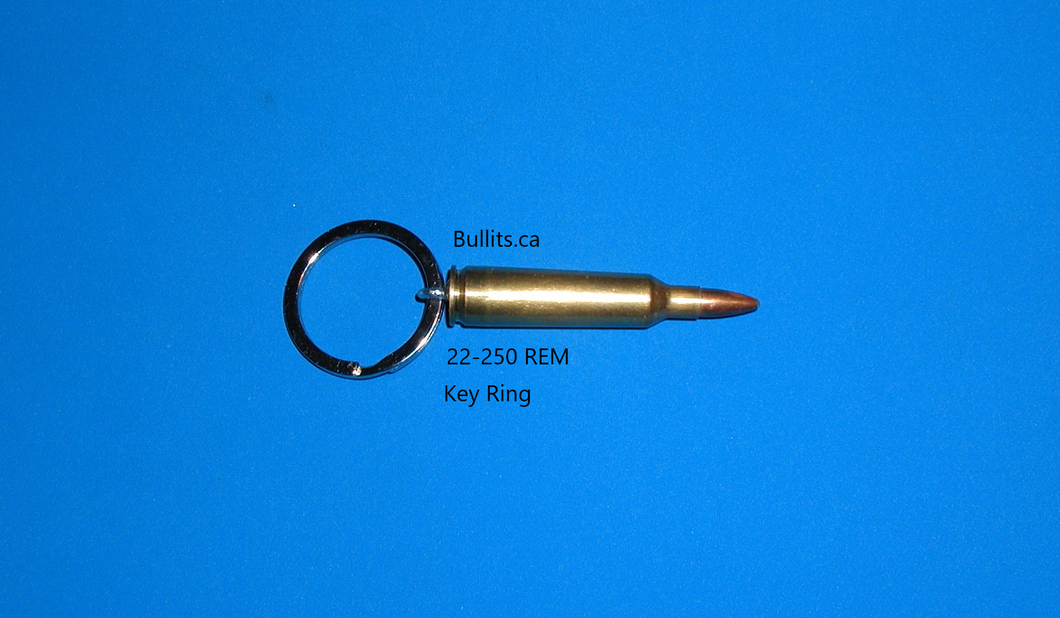 Key Ring: 22-250 REM