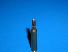 Load image into Gallery viewer, 223 REM, Brass casing with a 55gr, Soft Point bullet
