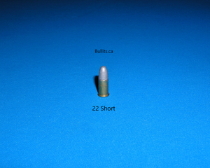 22 Short with Lead bullet
