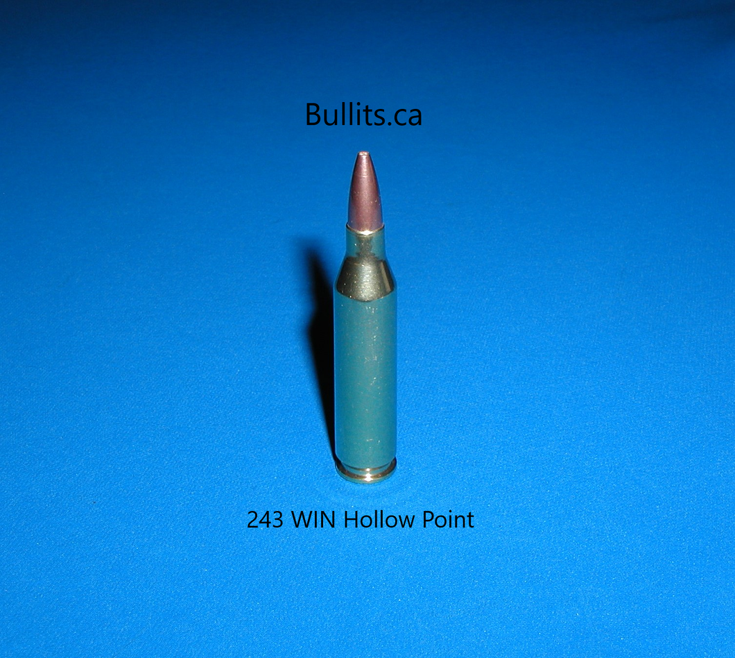 243 WIN Hollow Point