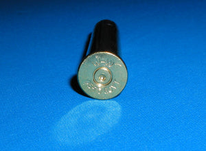 45-70 Gov’t with a 450gr Lead bullet