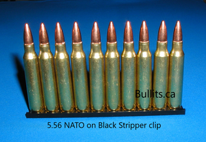 5.56 NATO with FMJ bullets mounted on original stripper clip. (10 bullets + 1 clip)