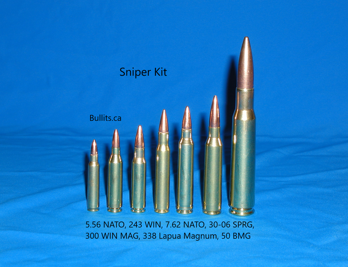 Sniper Kit: 7 different favorite calibers – Bullits.ca