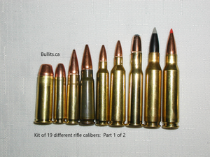 Kit of 19 different Rifle bullets